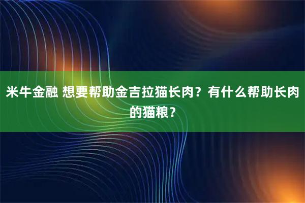 米牛金融 想要帮助金吉拉猫长肉？有什么帮助长肉的猫粮？