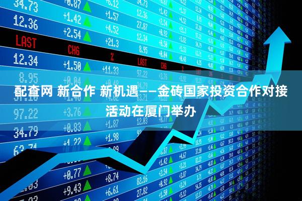 配查网 新合作 新机遇——金砖国家投资合作对接活动在厦门举办